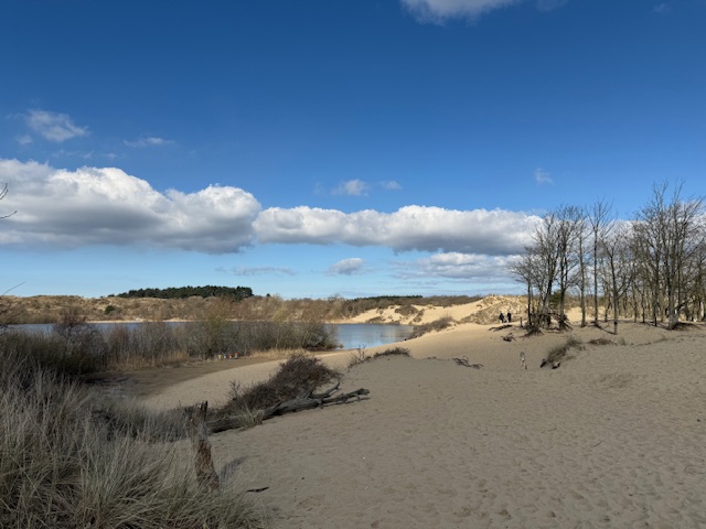 Zuid-Kennemerland National Park – Nature, Wildlife & Outdoor&nbsp;Adventures